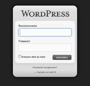 gestyltes Login-Fenster