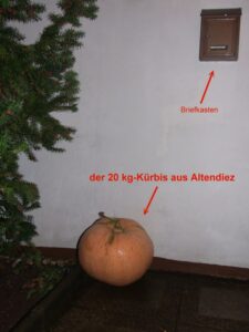 Mein eigener Kürbis - Frank sei Dank!